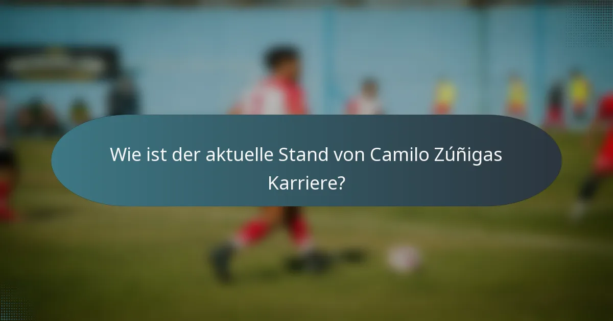 Wie ist der aktuelle Stand von Camilo Zúñigas Karriere?